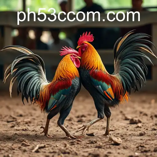 The Controversy and Culture of Cockfighting: A Deep Dive into PH53C.COM